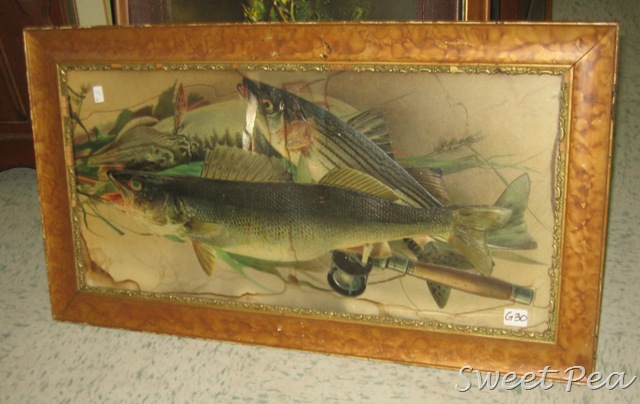 [IMG_7546%255B2%255D.jpg]