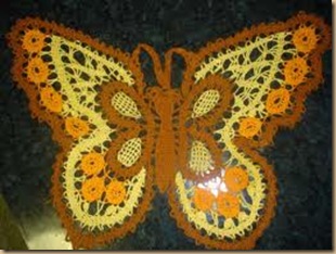butterfly41