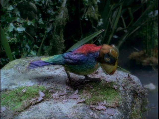 [Dinotopia%2520Screen%252003%255B3%255D.jpg]