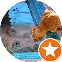 Image Google de lechat