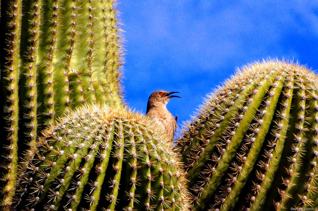 [DSC_3619%255B7%255D.jpg]