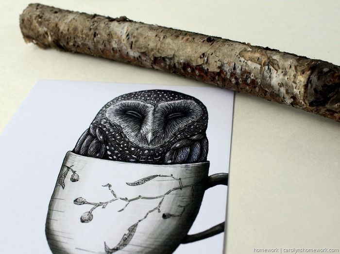 2015 Owl Lovers Calendar via homework (7)