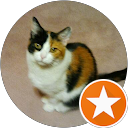 deborah moore profile picture