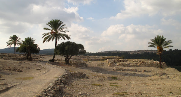 Ruins of Megiddo