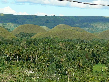 17. chocolate hills.JPG