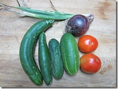 Cucumbers, tomatoes and a red onion