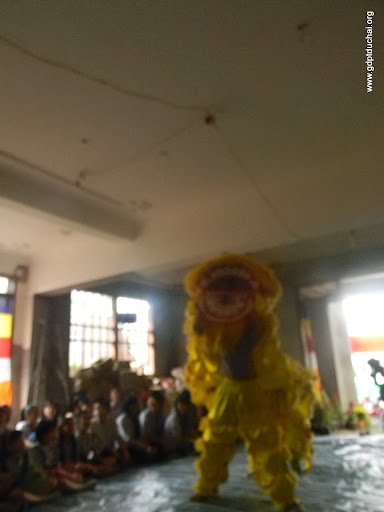 GDPT Duc Hai, gdptduchai, Tân Niên 2012