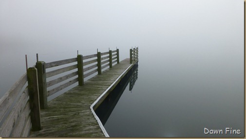 Pocosin Lakes, Lake Phelps_023