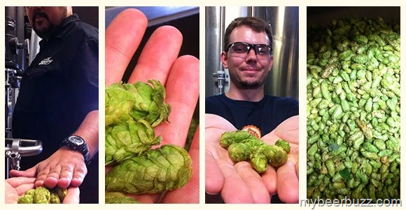 [image%255B2%255D.png]