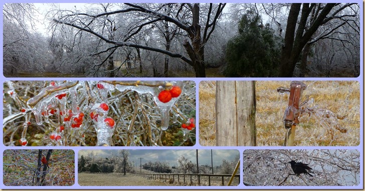 Ice Storm 12.22.13