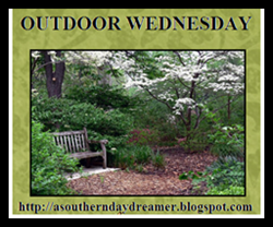 Outdoor-Wednesday-logo_thumb1_thumb1
