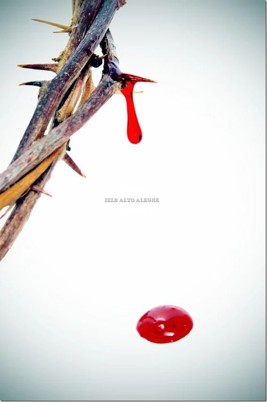 sangue