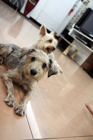 [IMG_0513%255B3%255D.jpg]