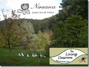 Living classroom