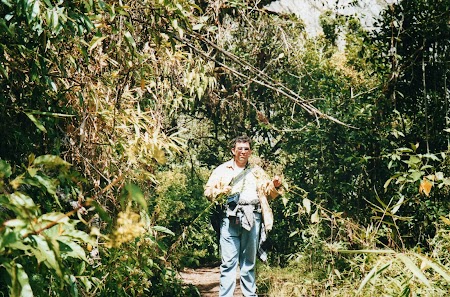 20. Jungla inalta.jpg