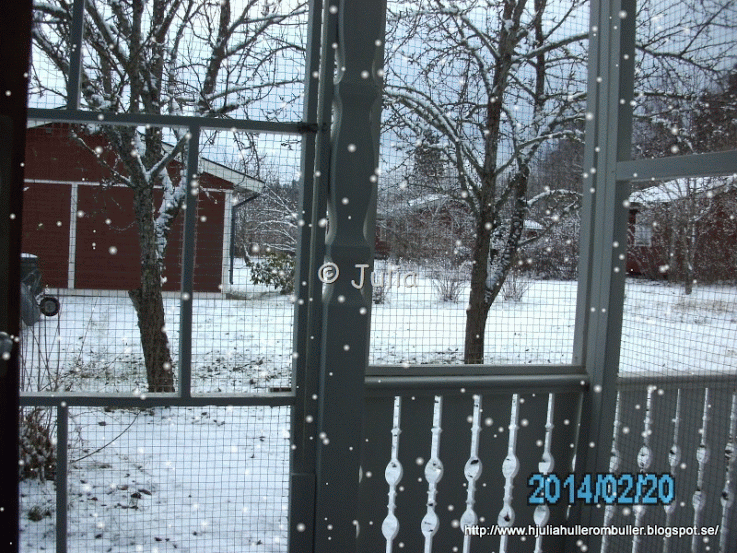 PICT1475[10]-SNOW