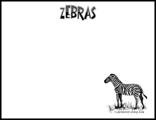 Zebras6