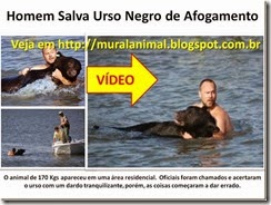 Homem Salva Urso Negro de Afogamento