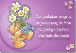 dia del amigo 23 (4)