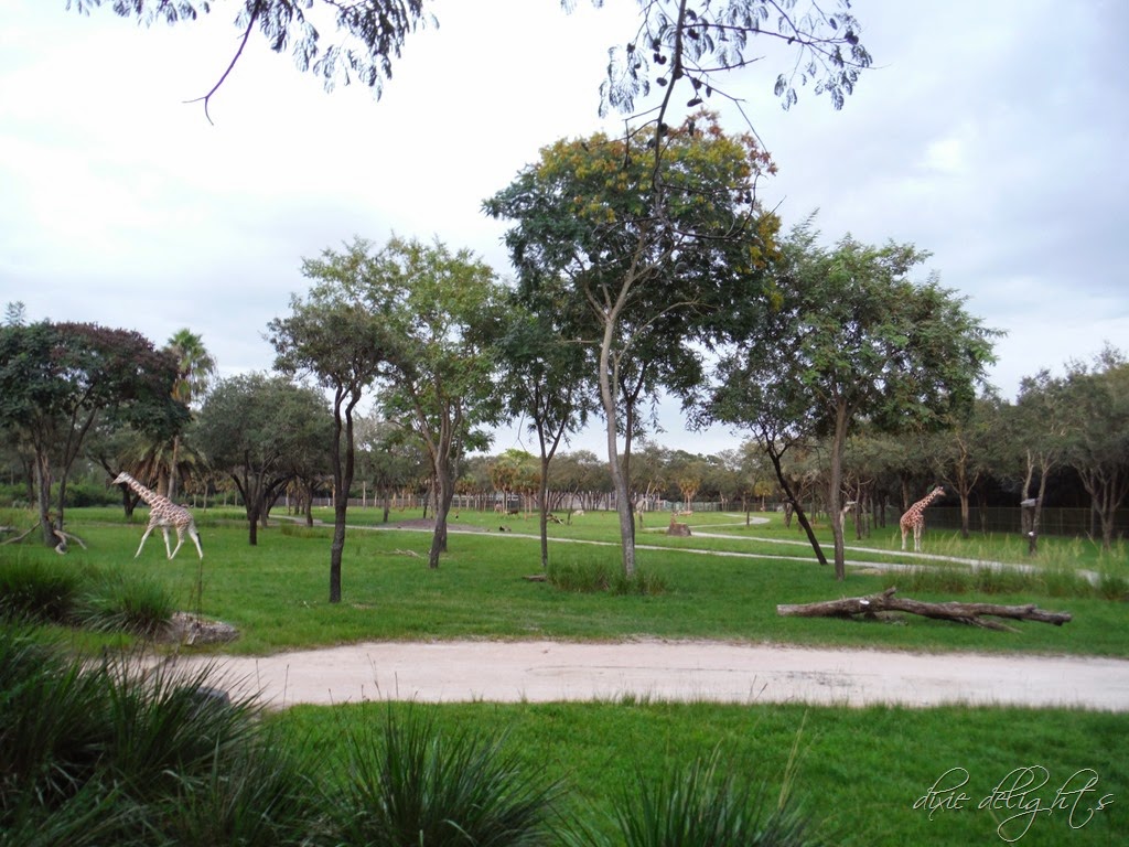 [DSCF0947%255B3%255D.jpg]