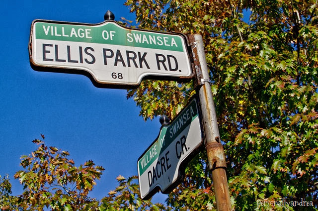 High Park Fall Colours | street signs | personallyandrea.com