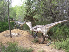 2008.09.10-022 dromaeosaures