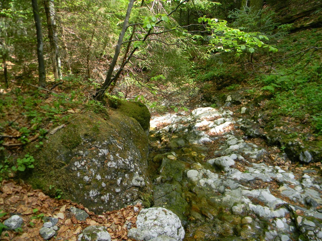 [DSCN98103.jpg]