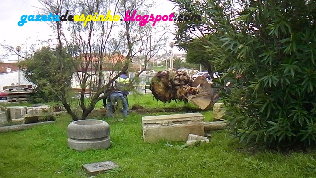 [Snapshot%2520-%25201%255B3%255D.jpg]