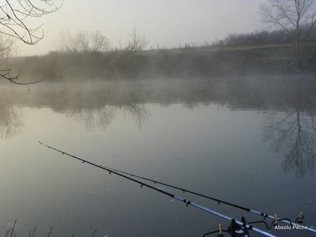 La Loire à Balbigny photo #1085