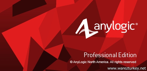 AnyLogic Professional 7.0.2 Multilingual (x86/x64) Full indir