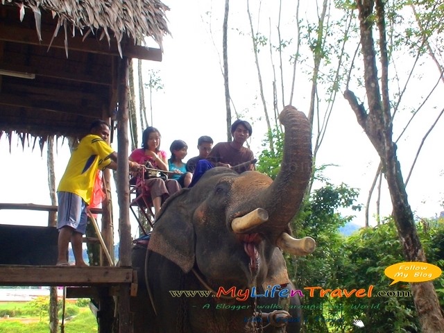 [Phuket-Rida-Elephant-0121.jpg]