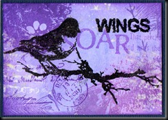 wings 4b