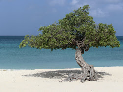 2013-10-01 Aruba - 40