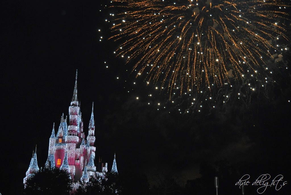 [DSC_0445%255B4%255D.jpg]