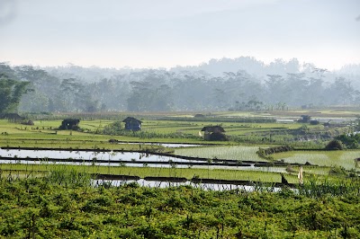 The scenery is really superb. DSC_0211.jpg