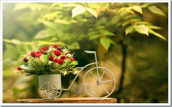 bike-flowers-roses-photo-wallpaper-2560x1600