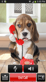 Puppy Call