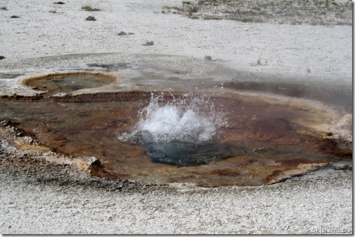 Sept 5, 2012: another happy little burbling geyser