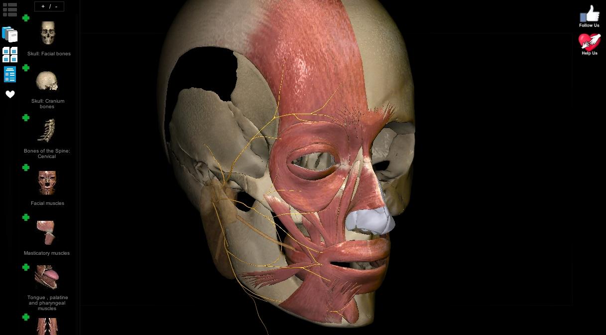   Anatomy Learning - 3D Atlas- 스크린샷 