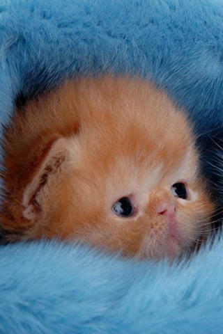 4344142684_858d76cf07