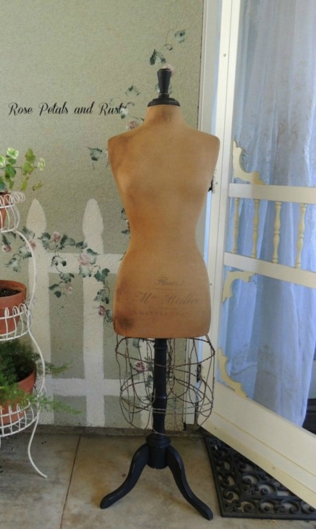 [rose%2520petals%2520and%2520rust%255B5%255D.jpg]