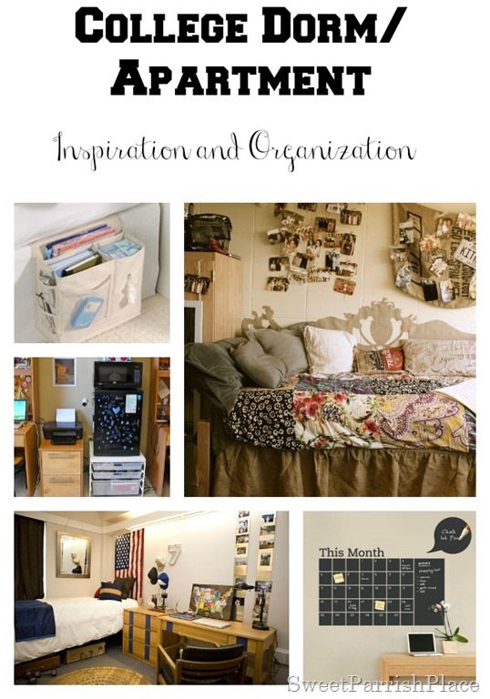  College  Dorm Room Apartment  Inspiration and Organization 