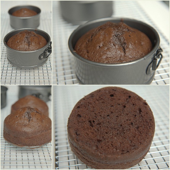 tiny chocolate layer cake1