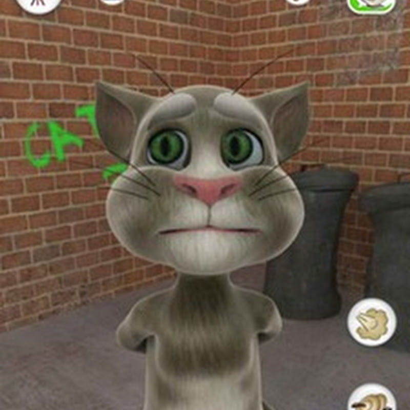 Tom el gato hablador”, divertida aplicación del gato que repite lo que le  dices (iPhone, iPod touch y iPad) - Nestavista