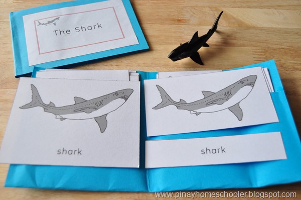 The Shark Learning Pack