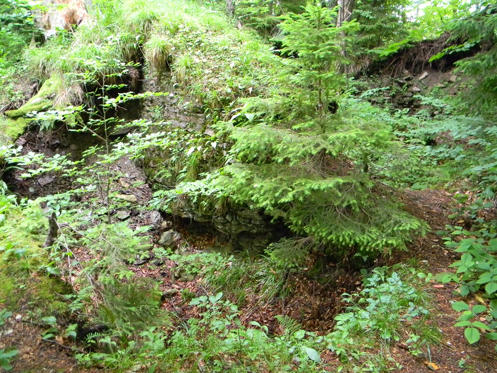 [DSCN67963.jpg]