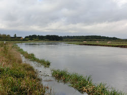 Skjern Au _ Oktober 2012 - 123