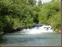 Snir River in Golan Hieghts