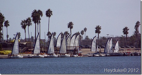 Mission Bay sailboats