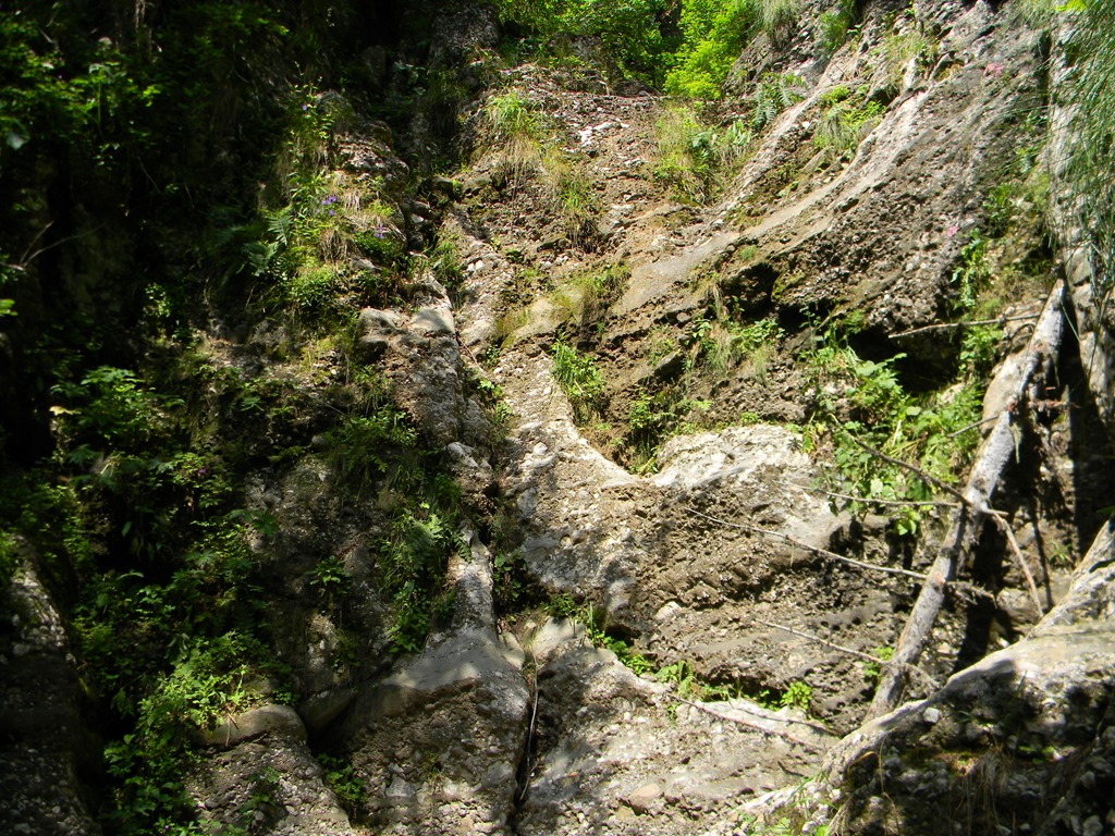 [DSCN33693.jpg]